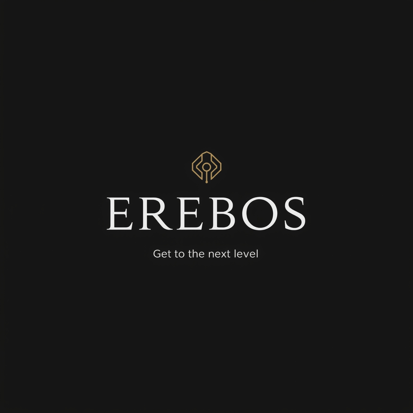 Bannière Erebos noir mat & argent